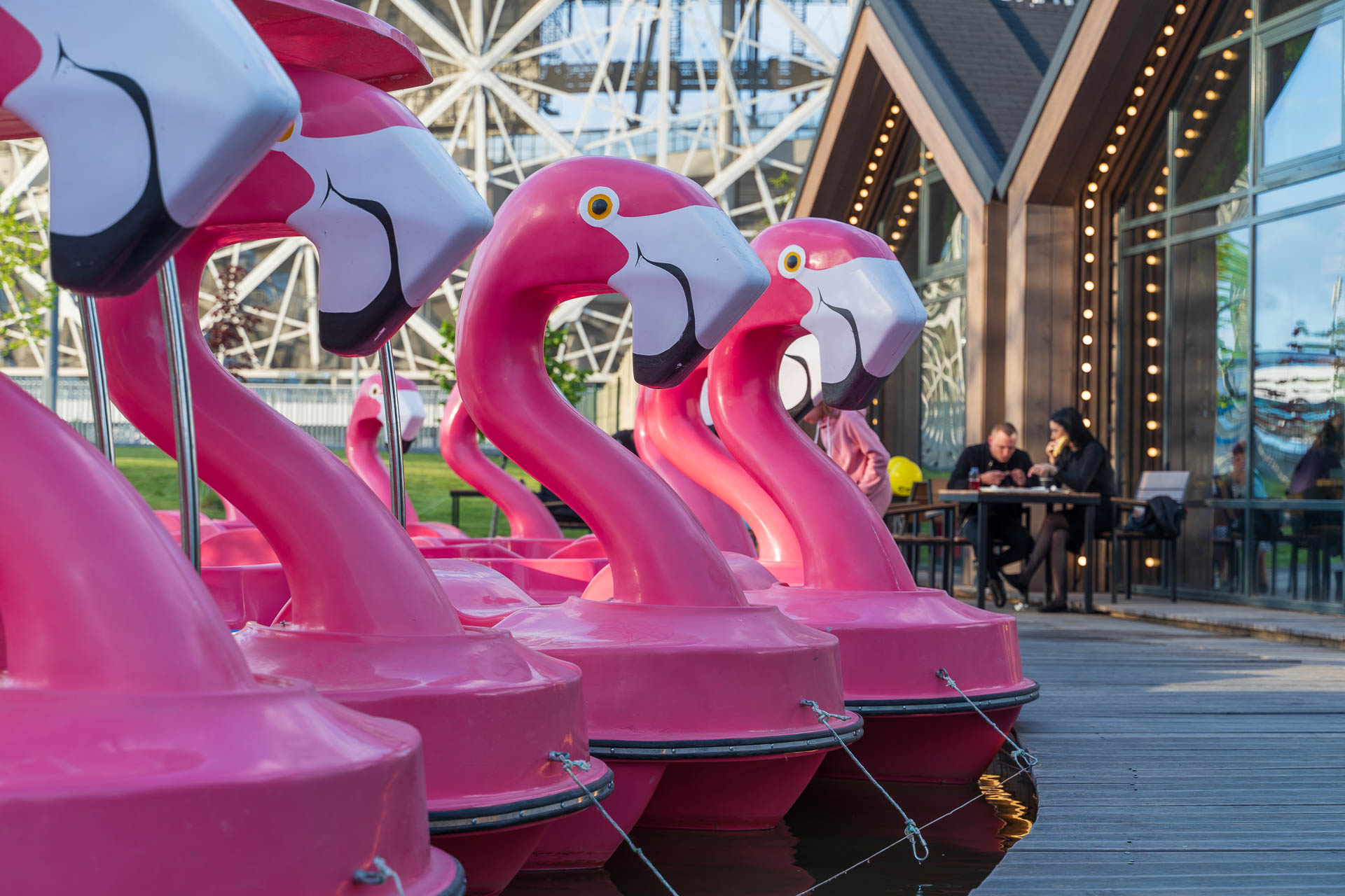 Плавание на фламинго - ЦПКиО